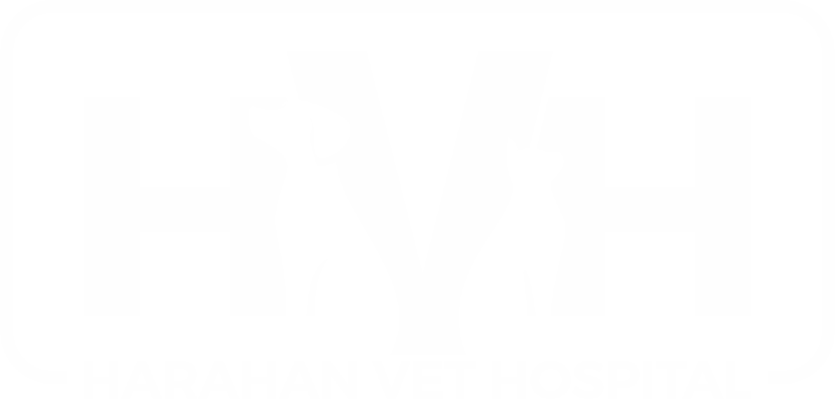 Abadie Veterinary Hospital